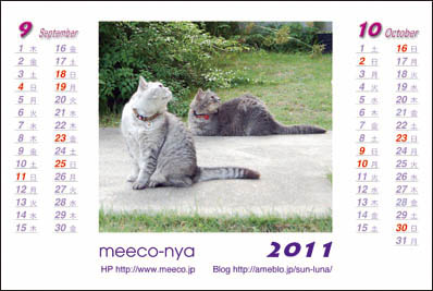 ミーコのカレンダー