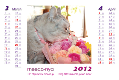 ミーコのカレンダー