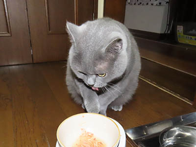 占い メール鑑定 ミーコ