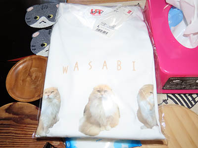 占い メール鑑定 ミーコ