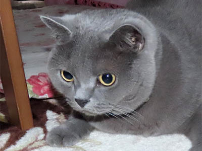 肢@[Ӓ@~[R
