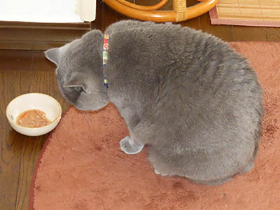 肢@[Ӓ@~[R