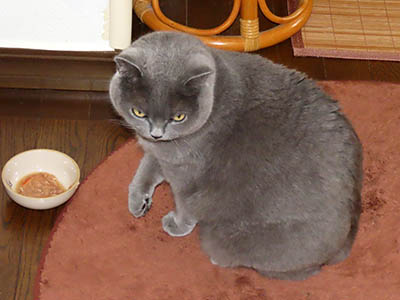肢@[Ӓ@~[R