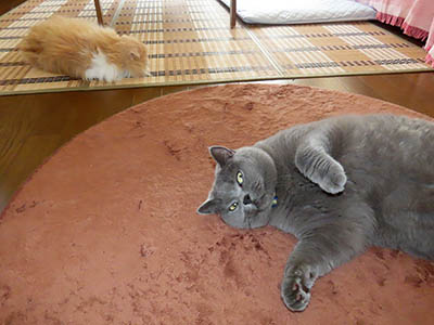 占い メール鑑定 ミーコ