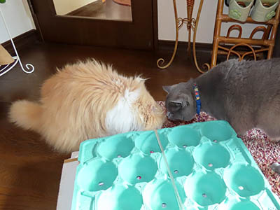 占い メール鑑定 ミーコ