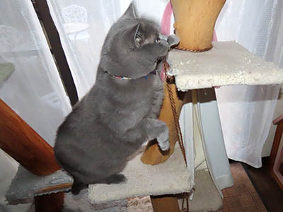 �肢�@���[���Ӓ�@�~�[�R