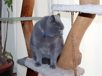 �肢�@���[���Ӓ�@�~�[�R